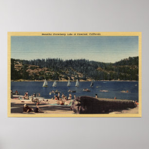 Poster Belle vue de lac strawberry