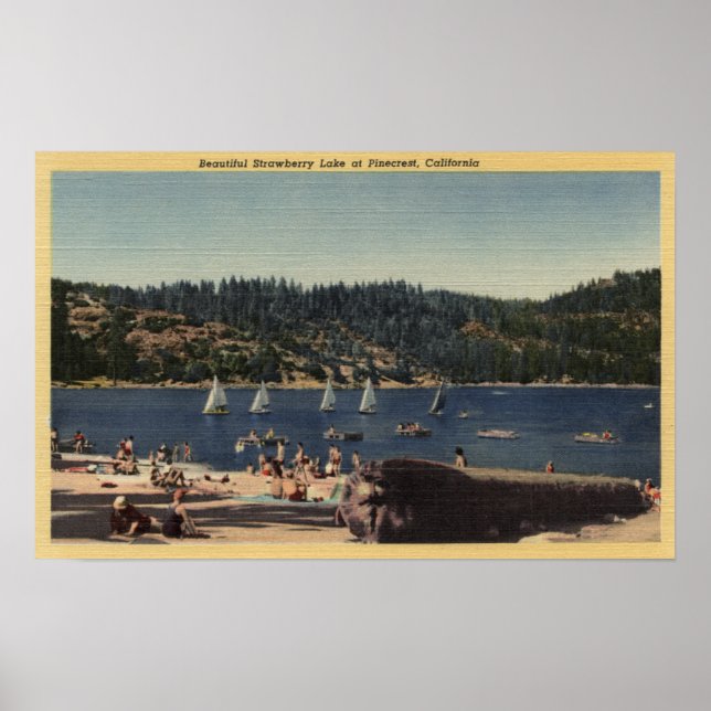 Poster Belle vue sur le lac des fraises (Devant)
