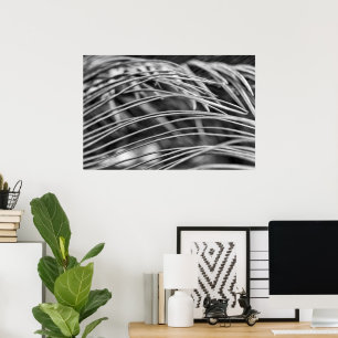 Poster Belles feuilles de palmier