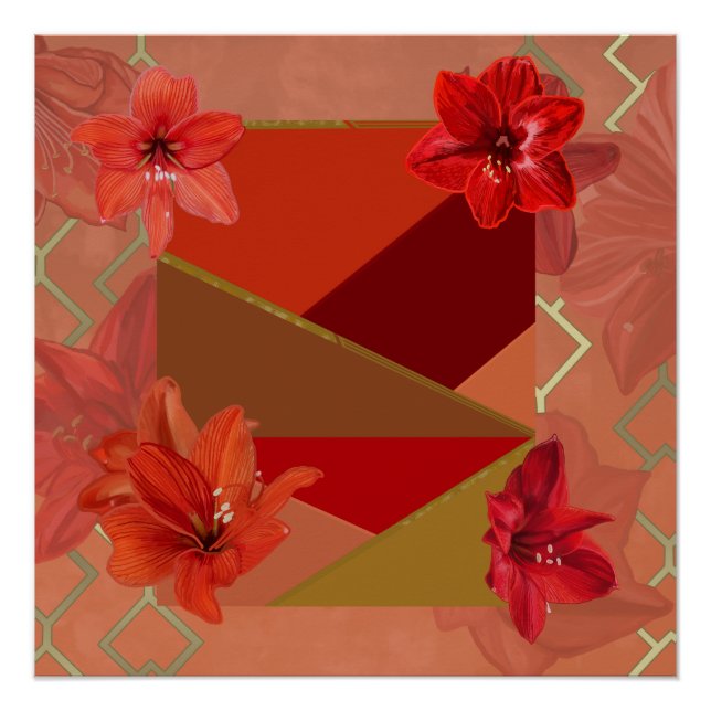 Poster Belles Fleurs Amaryllis (Devant)