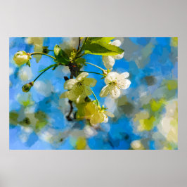 Poster Belles fleurs de cerisiers