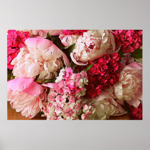 Poster Belles fleurs d'été. Bouquet de pivoine rose et