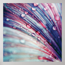 Poster Belles gouttes de fleurs rose Abstrait