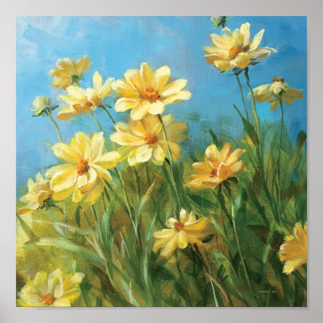 Poster Belles marguerites jaunes (Devant)