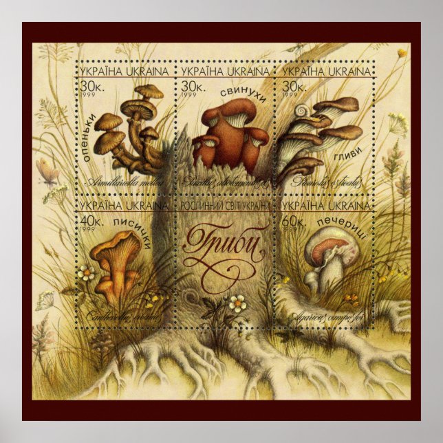 Poster Belles Timbres de Champignons ~ Toadstool Ukraine  (Devant)
