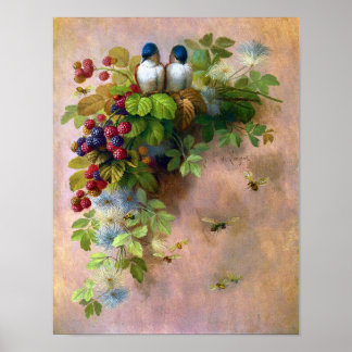 Poster Belles vignes de Berry et oiseaux bleus