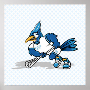 Poster Beltran Blue Jay
