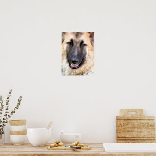 POSTER BERGER ALLEMAND