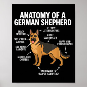 Poster Berger allemand