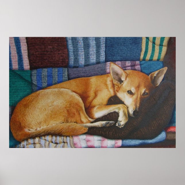 Poster berger allemand du labrador chien de race mixte (Devant)