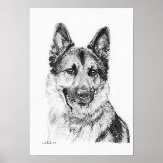 Poster Berger allemand en graphite (Devant)