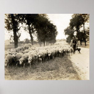 Poster Berger de France 1921