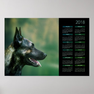 Poster Berger néerlandais - calendrier 2018 de Dutchie