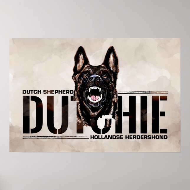 Poster Berger néerlandais - Hollandse Herdershond (Devant)
