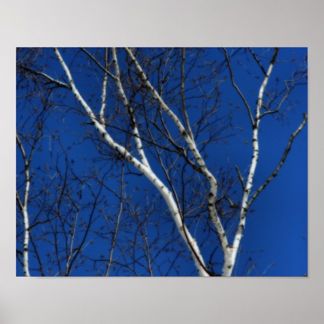 Poster Béridon blanc Ciel bleu Nature Orton Art (Devant)