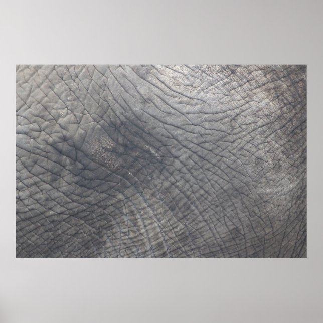 Poster Berlin (Devant)