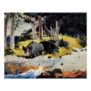 Poster Bermudes Settlers, un tableau de Winslow Homer,