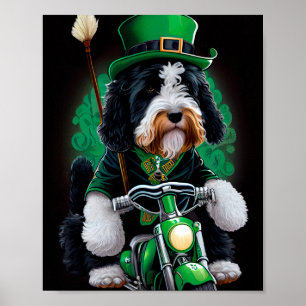 Poster Bernedoodle Chien conduisant vélo St. Patrick's Da