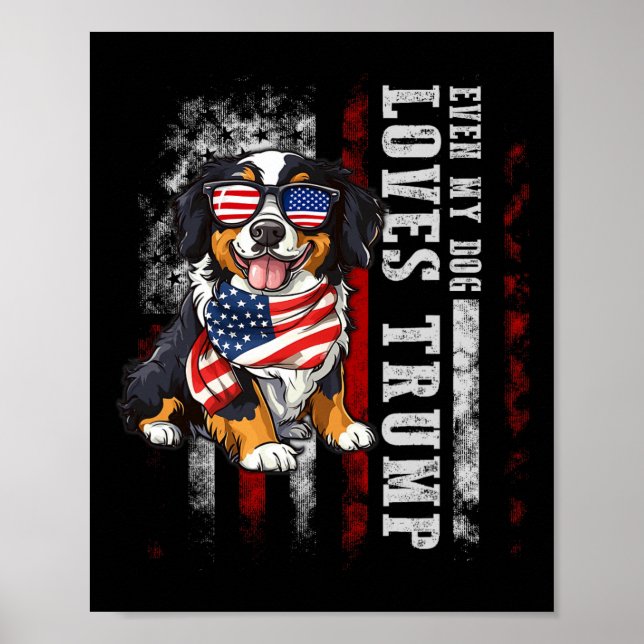 Poster Bernese Mountain Même Mon Chien Aime Trump Funny (Devant)
