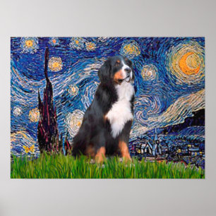 Poster Bernese - Nuit étoilée