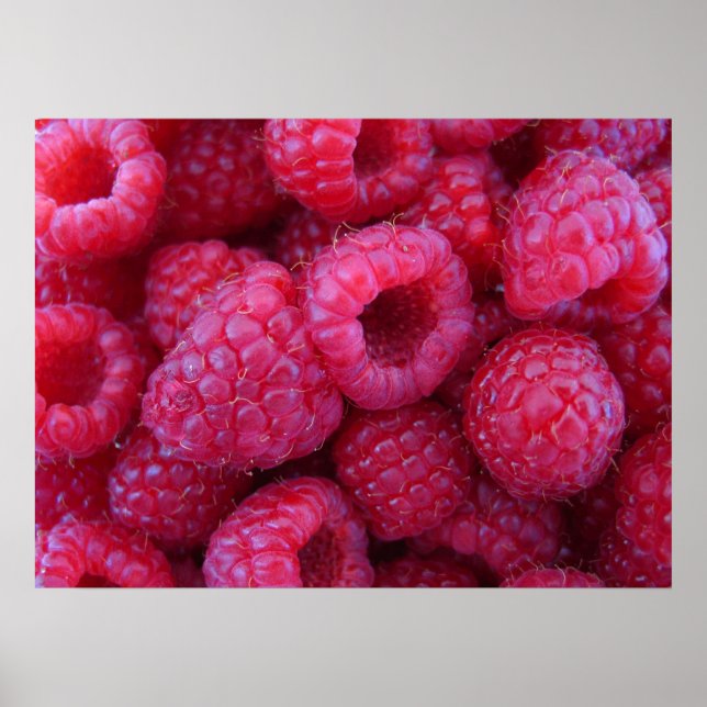 Poster Berries (Devant)