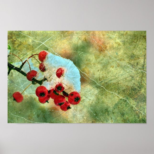 Poster Berries (Devant)