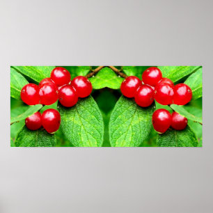 Poster Berries rouges avec gouttes de pluie Miroir Abstra