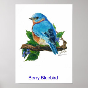 Poster Berry Bluebird