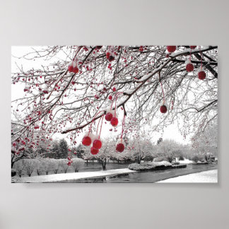 Poster Berry d'hiver K&K