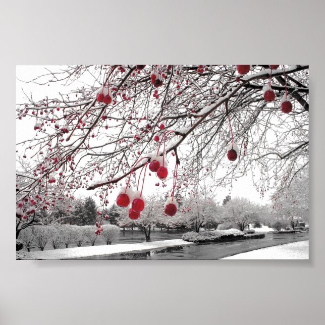 Poster Berry d'hiver K&K (Devant)