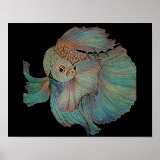 Poster Beta Fish par Carol Zeock (Devant)