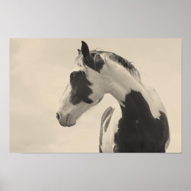 Poster Bête Nobel (Devant)