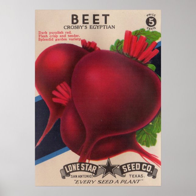 Poster betteraves à paquets de semences des années 1950 (Devant)