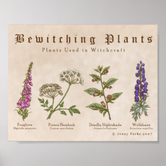 Poster Bewitting Plante Print