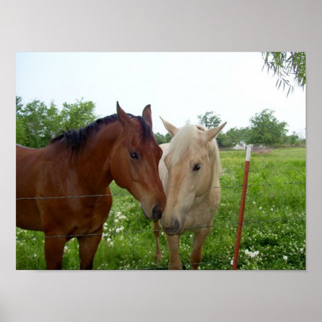 Poster BFF Meilleurs amis pour toujours (Devant)