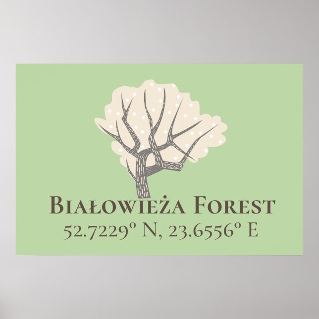 Poster Białowieża Forêt Latitude & Longitude (Devant)