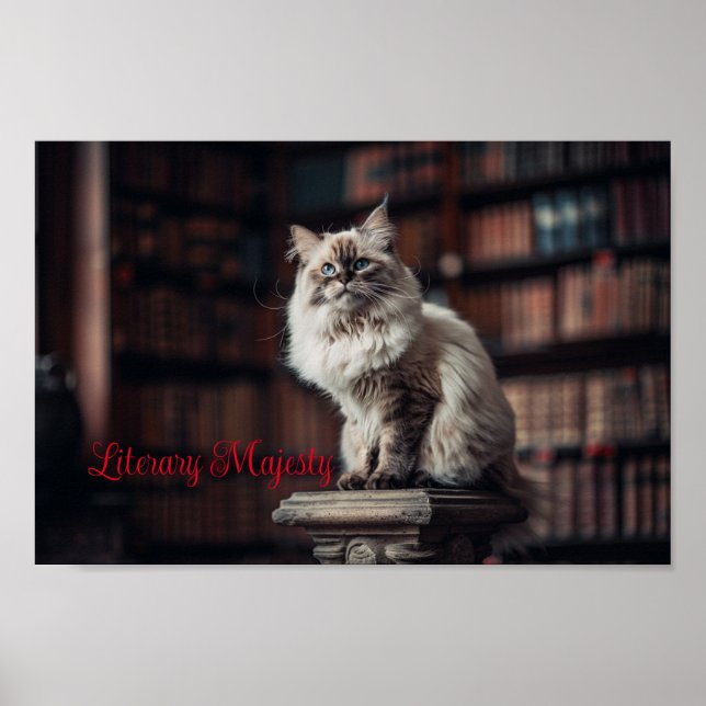 Poster Bibliothèque Majesté : Regal Ragdoll Chat (Devant)