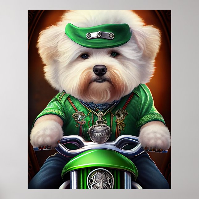 Poster Bichon Frisé Chien Conduite Vélo St. Patrick (Devant)