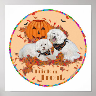 Poster Bichon Frise Halloween