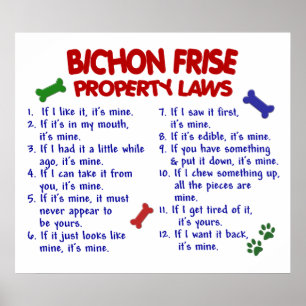 POSTER BICHON FRISE PL2