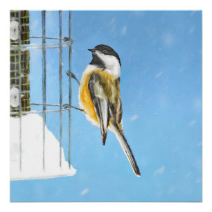 Poster Bickadee sur la peinture d'alimentation - Oiseaux