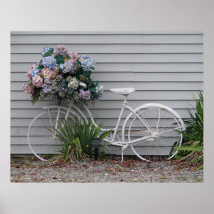 Poster Bicycle