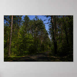 Poster Biélorussie Forêt Route rurale Ciel Paysage Nature