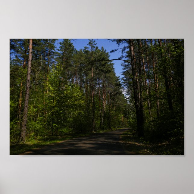 Poster Biélorussie Forêt Route rurale Ciel Paysage Nature (Devant)