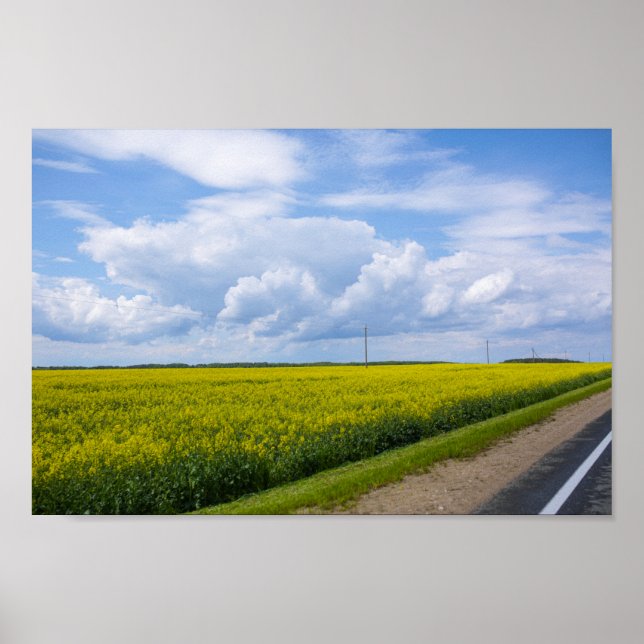 Poster Biélorussie Route Canola Fields Ciel (Devant)