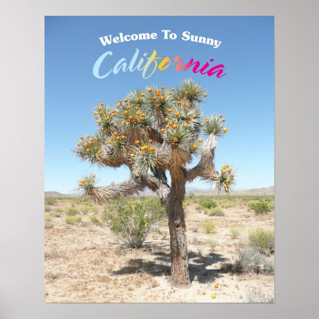 Poster Bienvenue À Sunny California (Devant)
