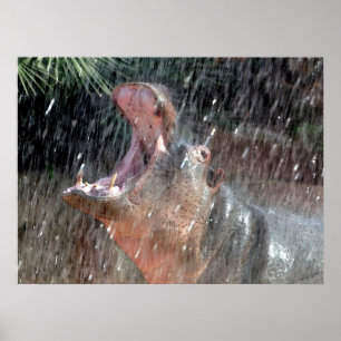 Poster Bienvenue douche Hippopotamus Portrait