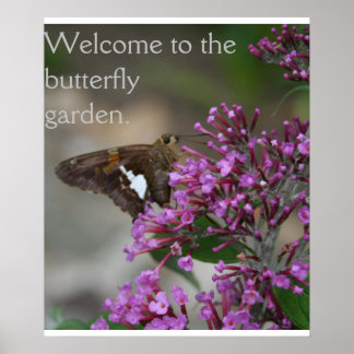 Poster Bienvenue sur l'affiche du jardin des papillons—Sk