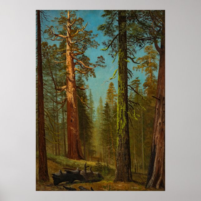 Poster Bierstadt Peinture forestière géante Sequoia (Devant)