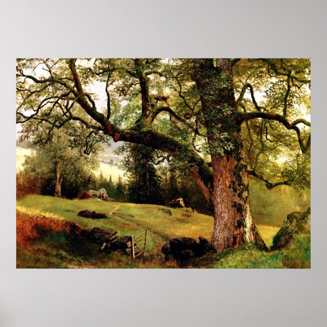 Poster Bierstadt - Un sentier à travers les arbres (Devant)